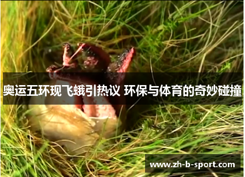 奥运五环现飞蛾引热议 环保与体育的奇妙碰撞 奥运五环现飞蛾引热议 环保与体育的奇妙碰撞